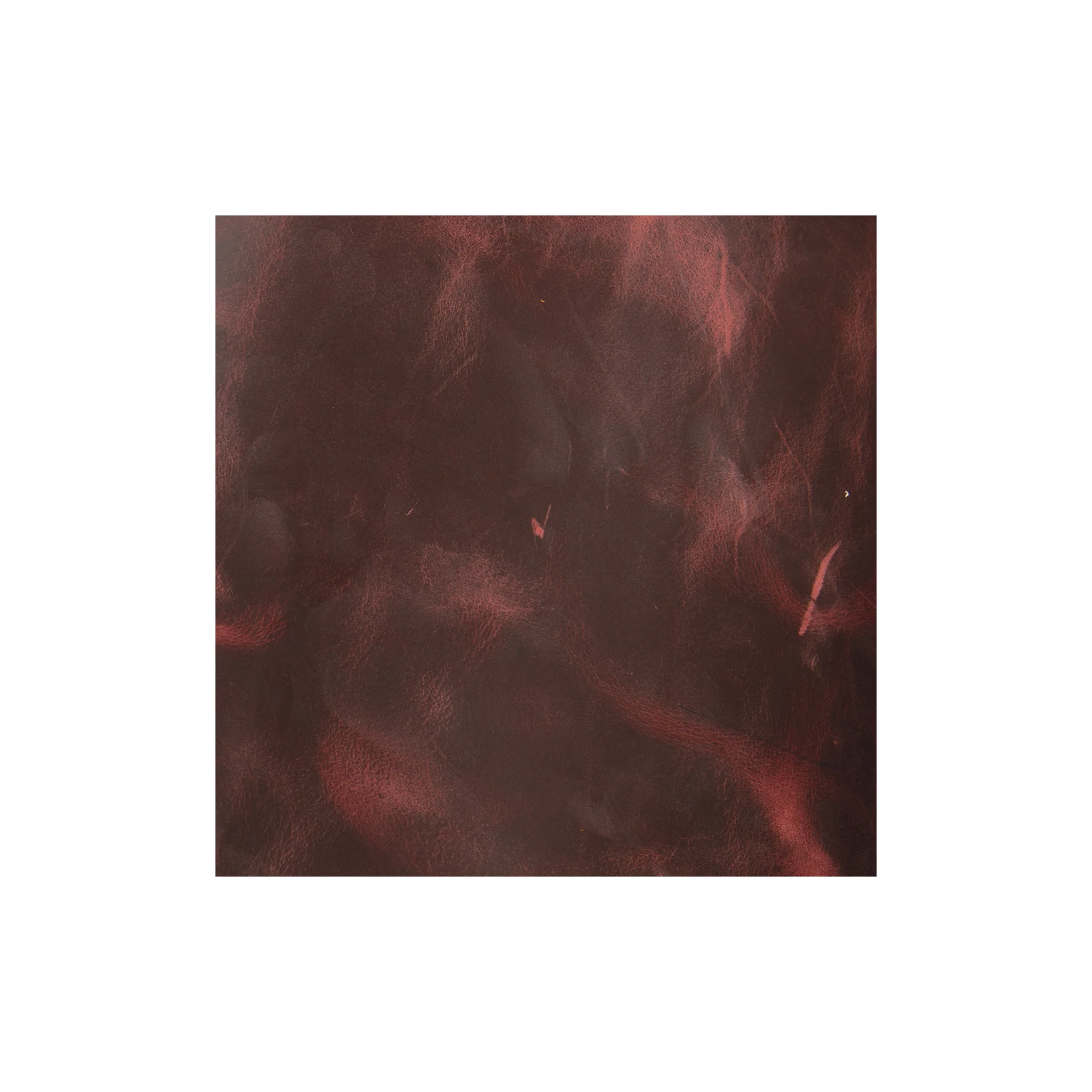 Thumbnail 12